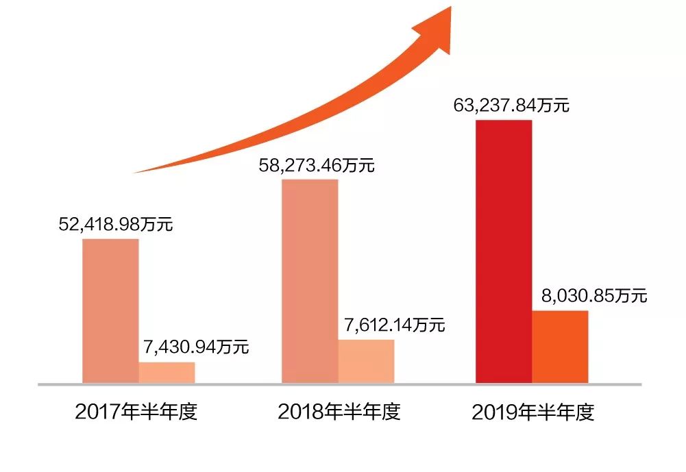 一图看懂亿万先生软件2019年半年报