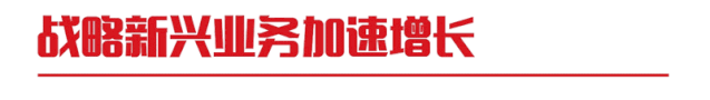 一图看懂亿万先生软件2019年半年报